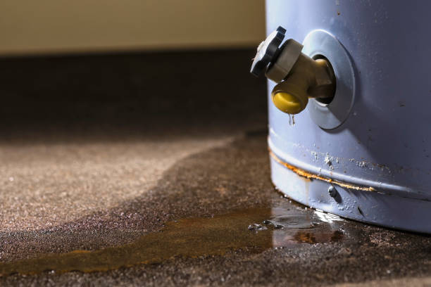 Best Commercial water damage restoration  in Milbank, SD