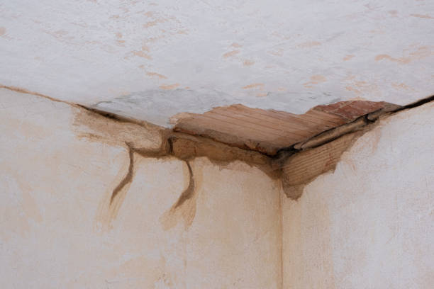 Reliable Milbank, SD Water damage restoration Solutions
