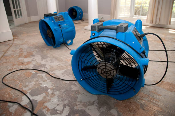 Best Water damage restoration cost  in Milbank, SD
