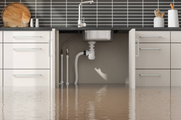 Best Residential water damage restoration  in Milbank, SD
